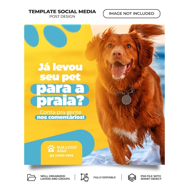 Pets shop social media posts banner template psd brazilian portuguese