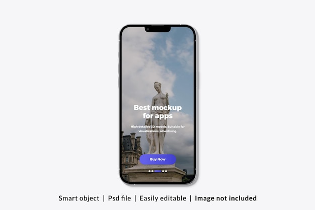 phone display mockup
