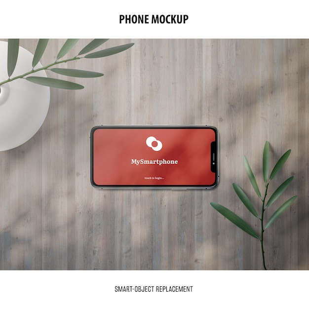 phone screen mockup