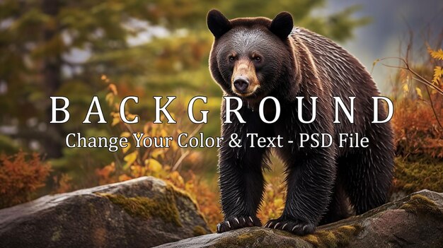 PSD photo bear animal generative ai