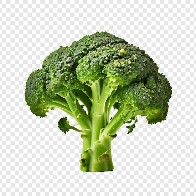 Foto di broccoli isolato su sfondo trasparente 2