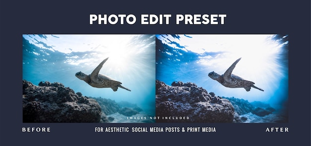 Photo edit preset filter for advertisement poster of under water activities