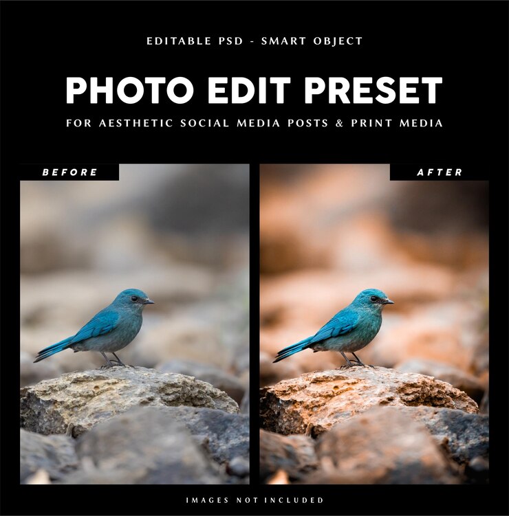 PSD photo edit preset filter for birding bird watching photography