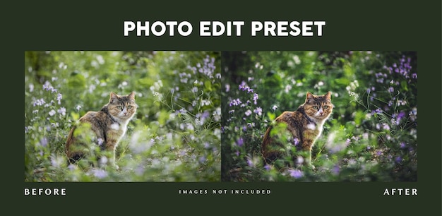 Photo edit preset filter for pet photography