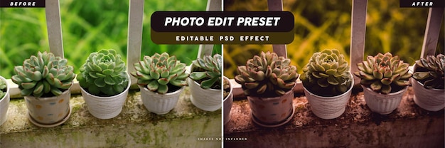 Photo edit preset filter for plants banner