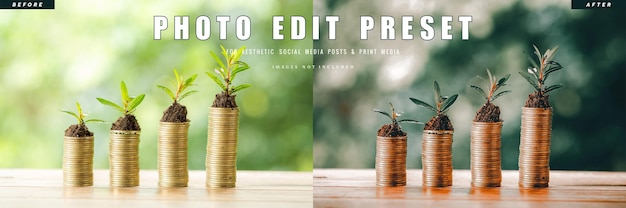 Photo edit preset filter for wealth management company banner