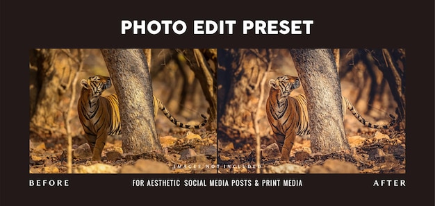 Photo edit preset filter for wildlife magazine cover