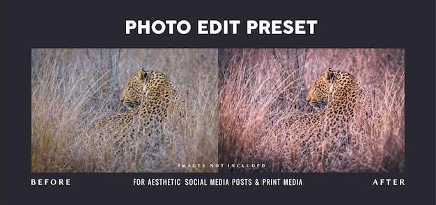 Photo edit preset filter for wildlife photo frame print