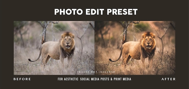 Photo edit preset filter for wildlife tour banner design