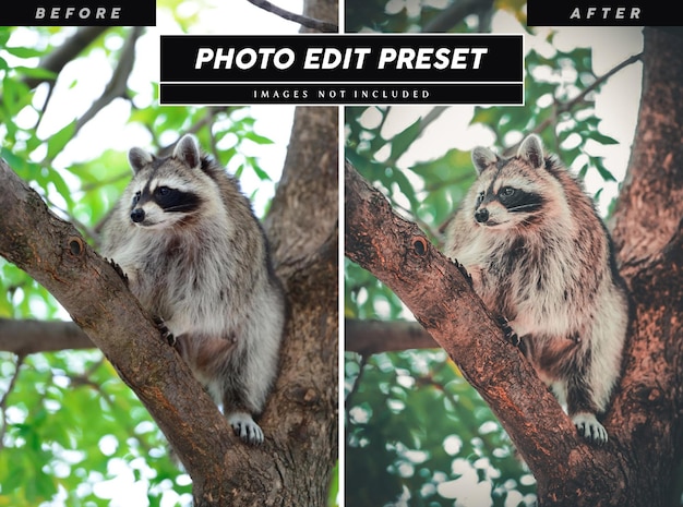 Предустановленный фильтр редактирования фотографий для страницы фотографий дикой природы в instagram