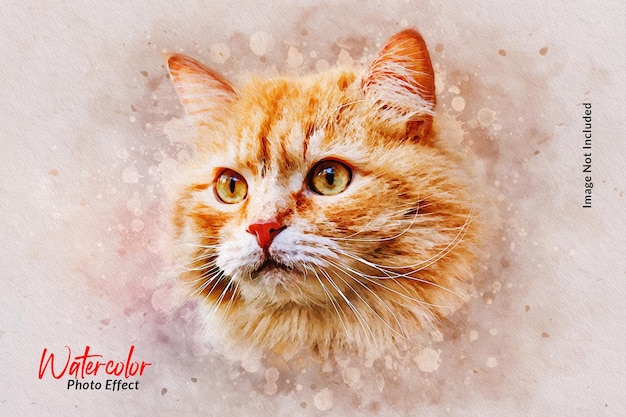 PSD mockup di modello di effetto fotografico per un gatto