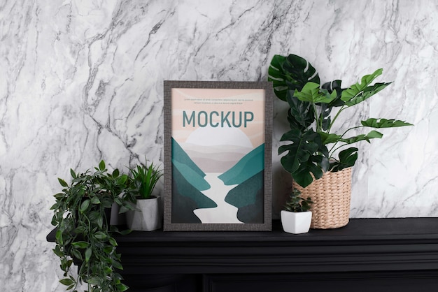 Photo frame and green plants assortment