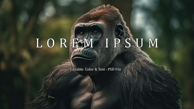 PSD a photo gorilla