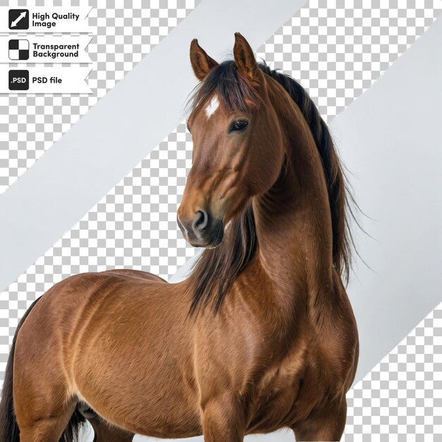 A photo of a horse with a picture of a horse on it