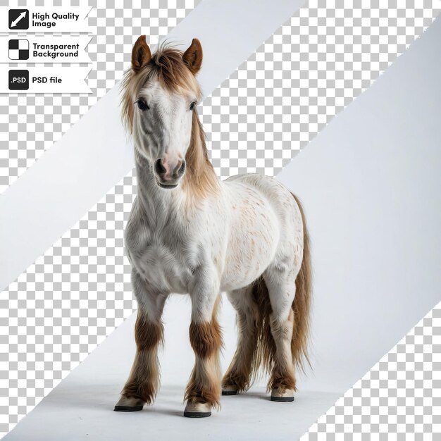 PSD una foto di un cavallo con un'immagine di un cavalo su di esso