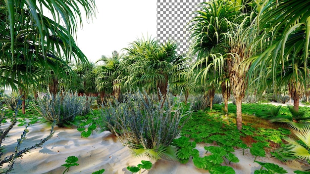 A photo of a tropical forest with palm trees and the sky in the background.