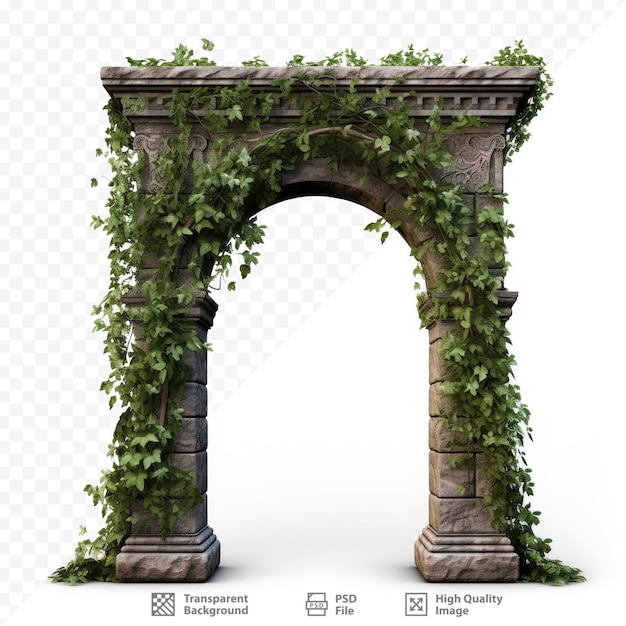 PSD a picture of an arch with ivy growing on it.