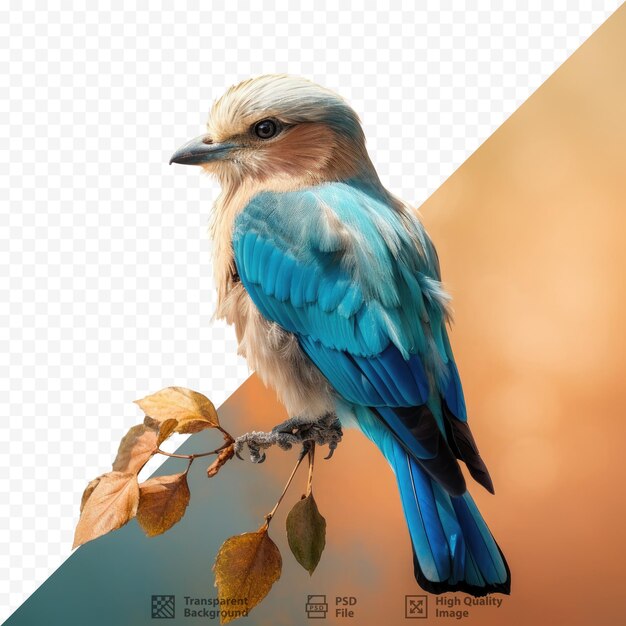 A picture of a bird with a blue and red background