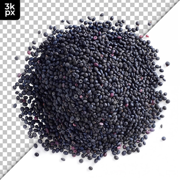 A picture of a black and white photo of a black seed