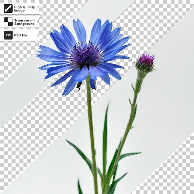 PSD un'immagine di un fiore blu che è su una griglia