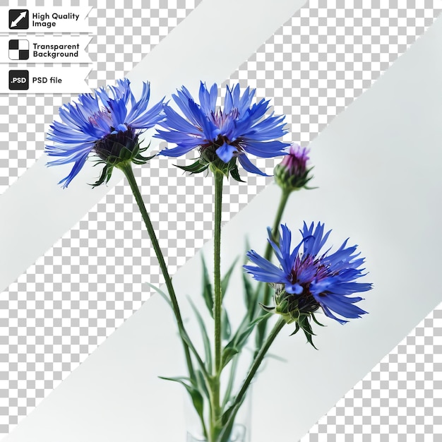 PSD a picture of a blue flower that says  please  on it