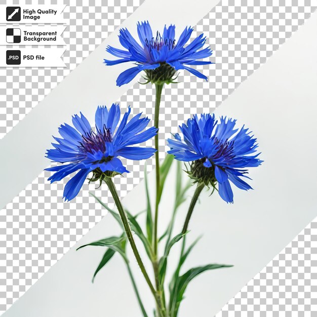 PSD a picture of a blue flower that says  the time of 3  00