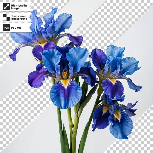 PSD a picture of a blue iris with a picture of a flower