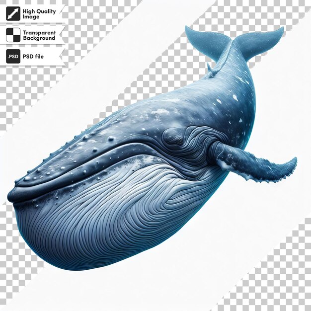 PSD a picture of a blue whale with the word whale on it