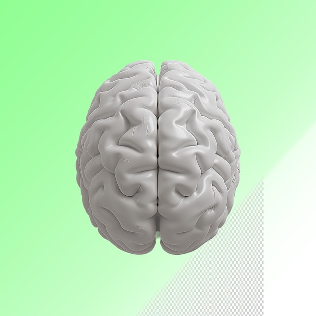 PSD un'immagine di un cervello che ha uno sfondo verde