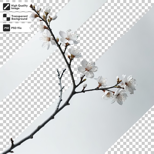 A picture of a branch with the words spring on it