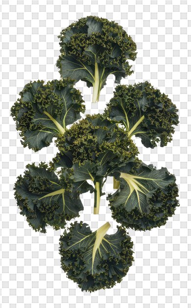 PSD a picture of broccoli with the image of a leaf