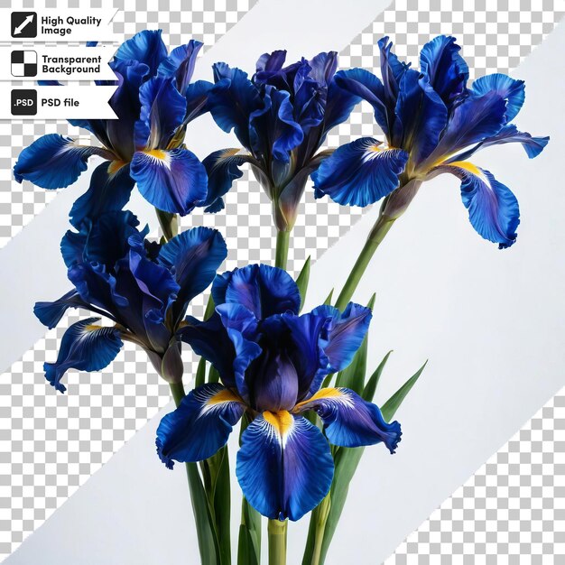 PSD a picture of a bunch of flowers with a picture of a blue iris