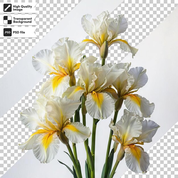 PSD a picture of a bunch of flowers with a picture of a white and yellow iris