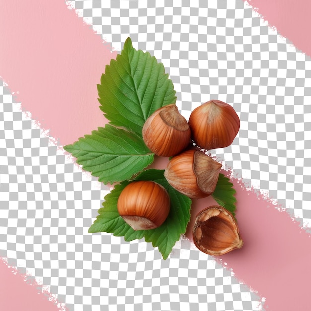 A picture of a bunch of garlic and leaves with a pink background