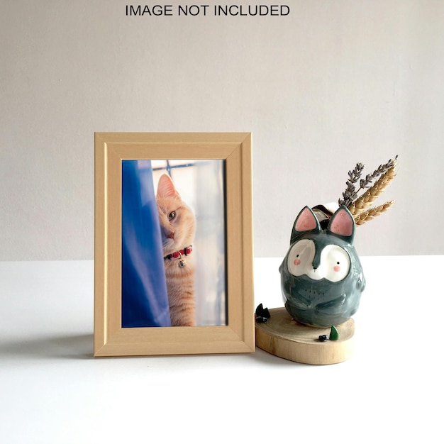 고양이와 고양이의 그림
