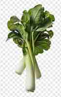 PSD a picture of a celery that is on a transparent background