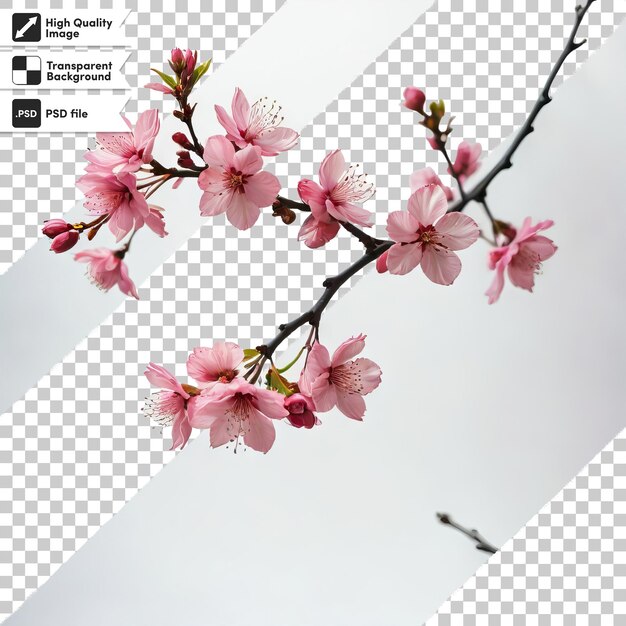 PSD a picture of a cherry blossom tree with a picture of a bird flying in the background