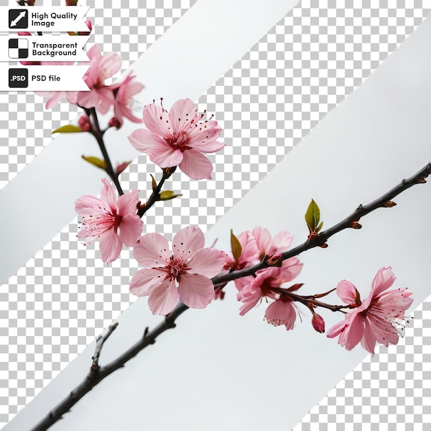 PSD a picture of a cherry blossom tree with a picture of a cherry blossom