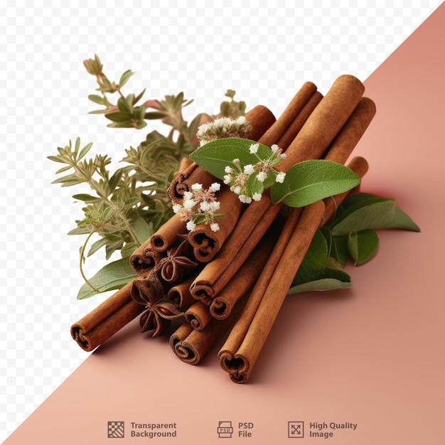 PSD a picture of cinnamon sticks with a flower on it