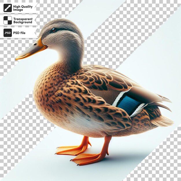 PSD a picture of a duck with a picture of a duck on it