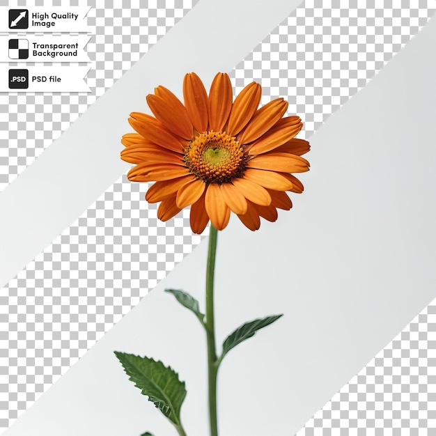 A picture of a flower that is labeled  sunflower