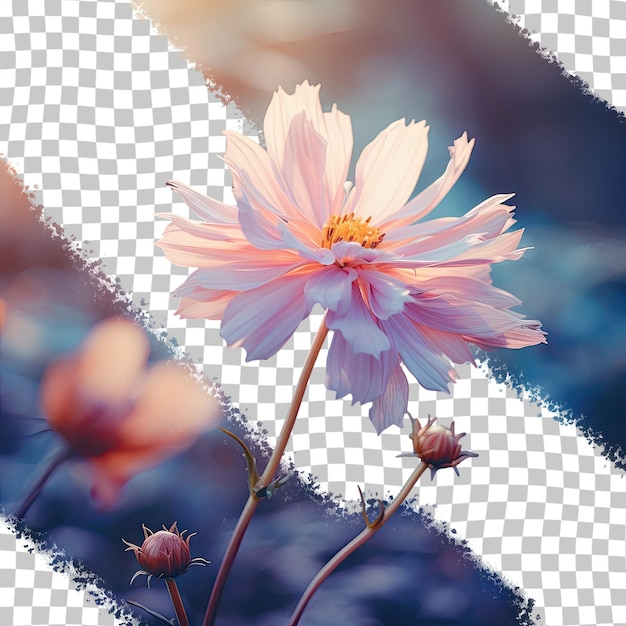 a picture of a flower with a square in the background.