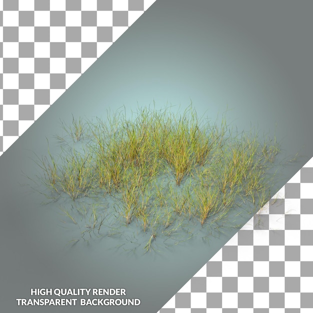 PSD a picture of a grass with transparent background