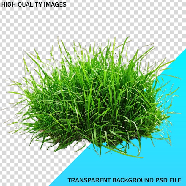 A picture of a green grass with a blue background