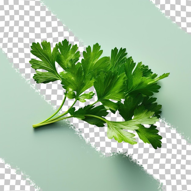 PSD a picture of a green parsley on a checkered surface.