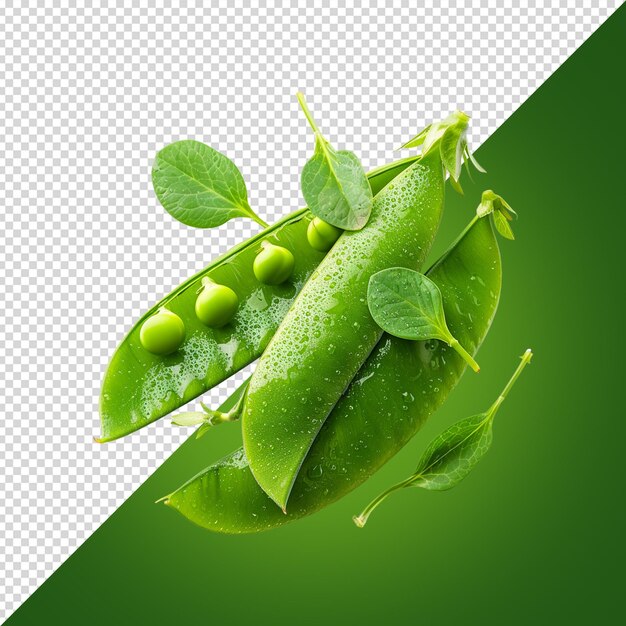 PSD a picture of a green pea pod
