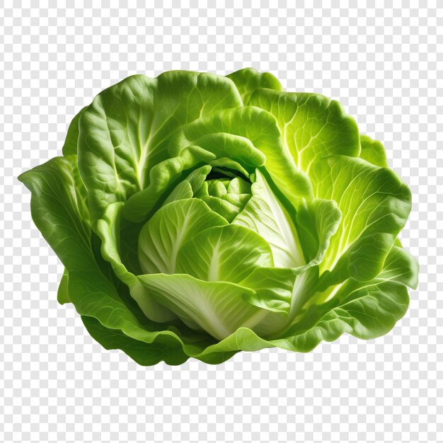 PSD a picture of a lettuce on a transparent background