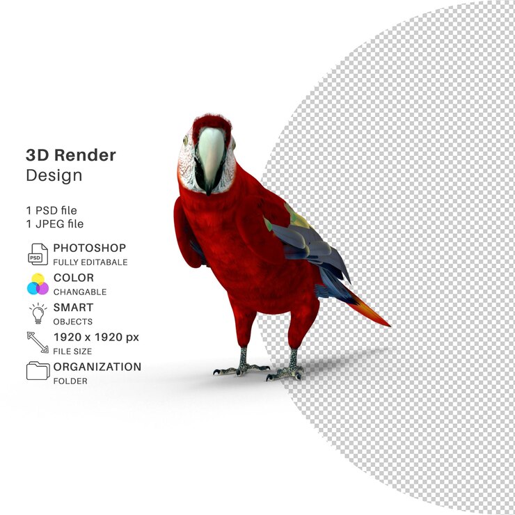 PSD a picture of a parrot with a picture of a bird on it