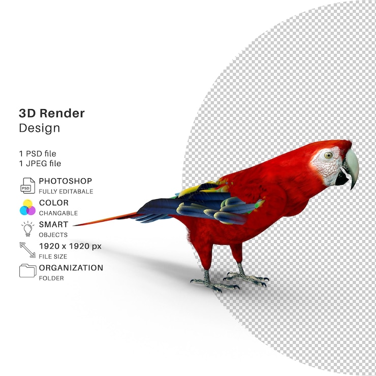 PSD a picture of a parrot with the words 3d on it.