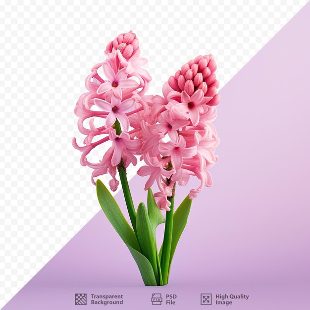 PSD un'immagine di fiori rosa con il titolo dell'immagine di un fiore.